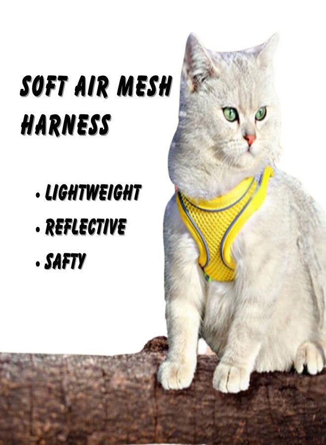 PET FUN Padded Vest Harness Set with Leash for Small Dogs, Cats, & Puppies | Adjustable Soft Mesh Harness for Training & Walking | Lightweight & Breathable with Secure Buckle (Multicolour, 10 MM) - Image 3